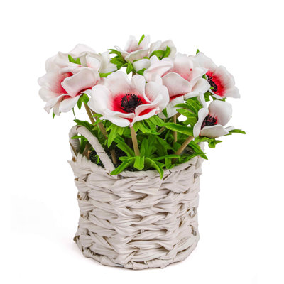 Anemone Flower Bouquet in White Basket