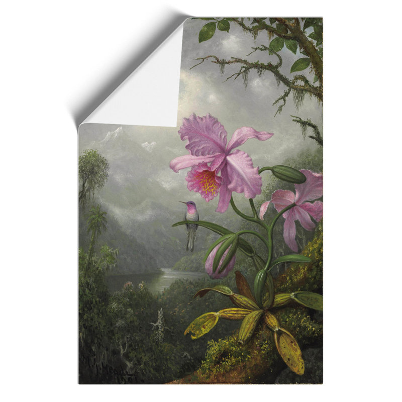 Hummingbird On The Orchid Plant by Martin Johnson Heade - No Frame Print, 59cm H x 42cm W x 0.1cm D