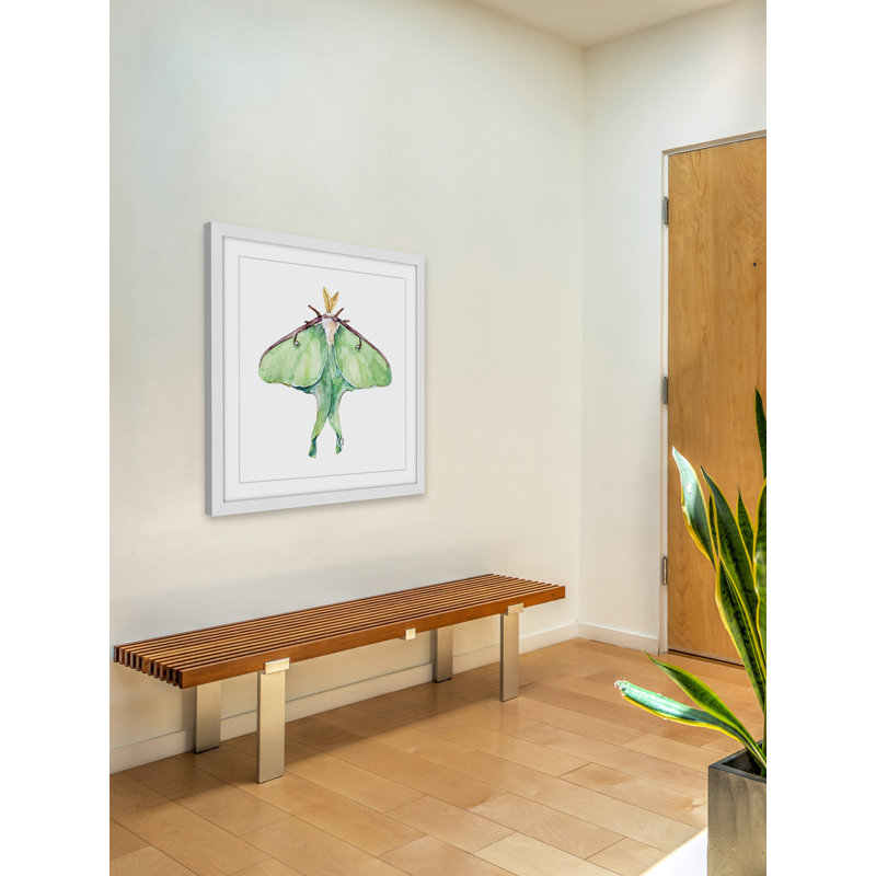 " Luna Moth " by Rachel Byler, 12" H x 12" W x 1.5" D