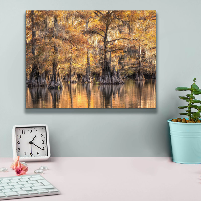  «Bayou Light 1» par Danny Head, art mural sur toile, 16 po x 12 po, H 12 po x l 16 po