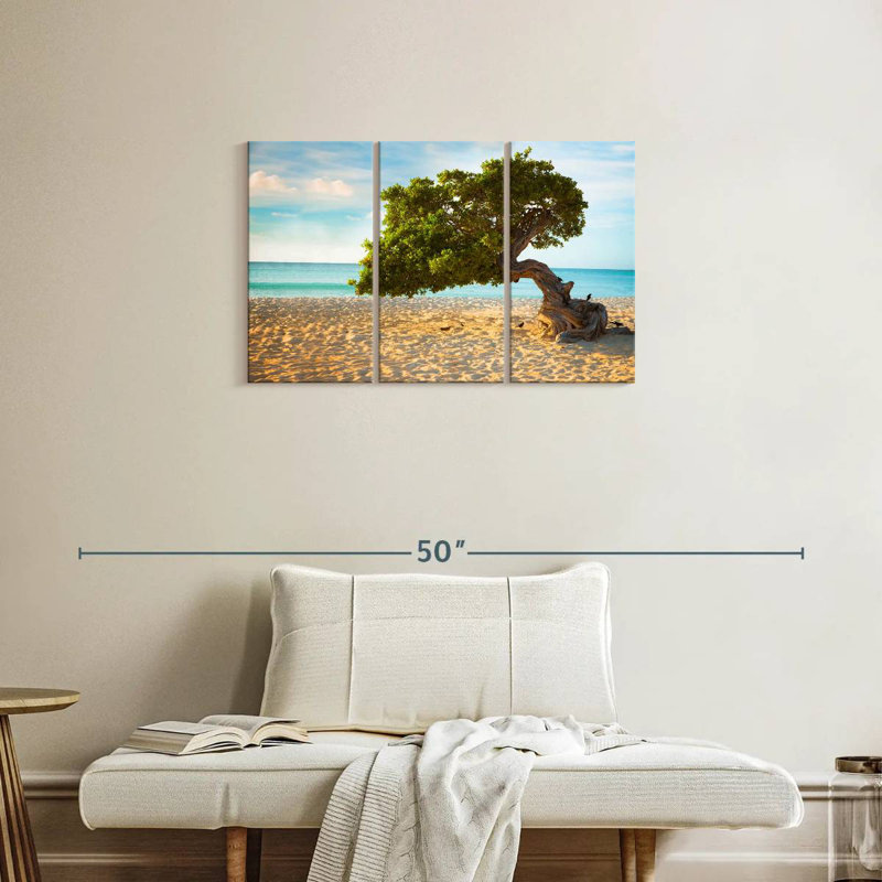 Gillard Divi-Divi Tree In Aruba, 20" H x 33" W