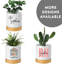 Pot de fleurs personnalisé 4 "avec drain, bouchon et nom, infirmière 4"-244927321