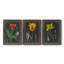 «Midnight Tulip IV», ensemble de 3 peintures sur toile encadrées-1117917272-1117917275