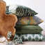 Coussin décoratif
