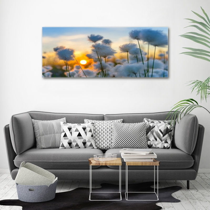 Cotton-Grass - Wrapped Canvas Print, Canvas, 50cm H x 125cm W