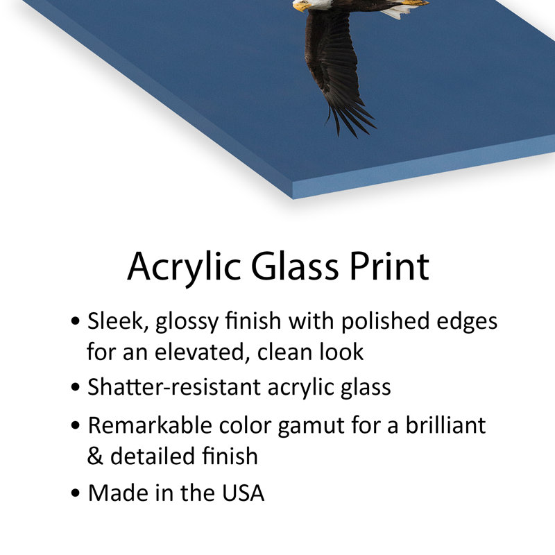«Bald Eagle Flight I» par Ken Archer