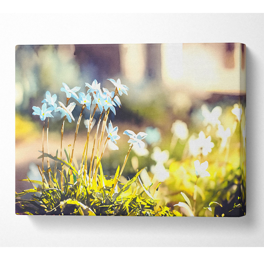 Sanfte blaue Gartenblumen - Druck