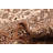 Kayseri Cream Rug 4'11" x 7'4"