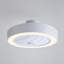 Ceiling Fan with LED Lights