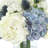 Hydrangea Arrangement with Thistle and Viburnum