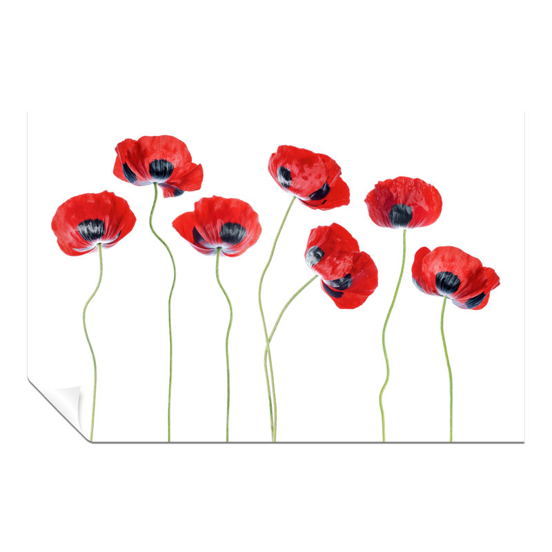 Ladybird Poppies by Mandy Disher - Print on Canvas, 61cm H x 41cm W x 0.5cm D, Paper