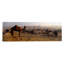 « pushkars », reproduction de photo sur toile en mode mixte, pushkar, rajasthan, inde»-19989549-72002124
