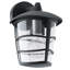 Treutlen 23cm H Outdoor Wall Lantern-1236066145