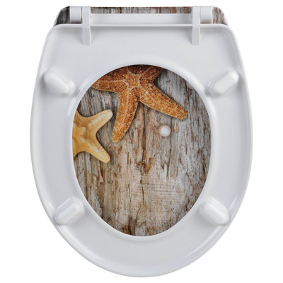 Soft Close Elongated Standard Toilet Seat