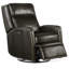 Dunsten Swivel Recliner-1494253841