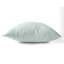 Coussin Ikat-108050225-108050228