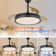 Maryann 42'' Retractable Ceiling Fan DC Motor with LED Lights and Remote