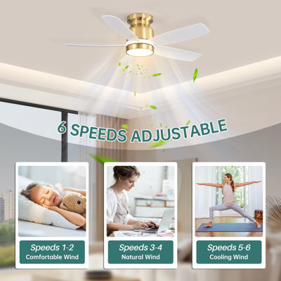 Rita 42" 5-Blade Modern Ceiling Fan Light With 6-Speed Adjustable Wind Speed