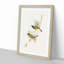 Swan River Honeyeaters by Elizabeth Gould - Picture Frame Art Prints-55616973-55616975