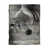 White Rustic Horse selected