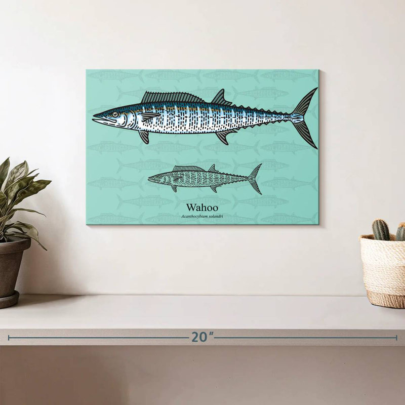 Brampt Wahoo Fish, 8" H x 12" W