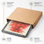 Tree In Scattered Light Modern - Single Picture Frame Print-1083689339-1083689338