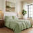 Sage Green Solid