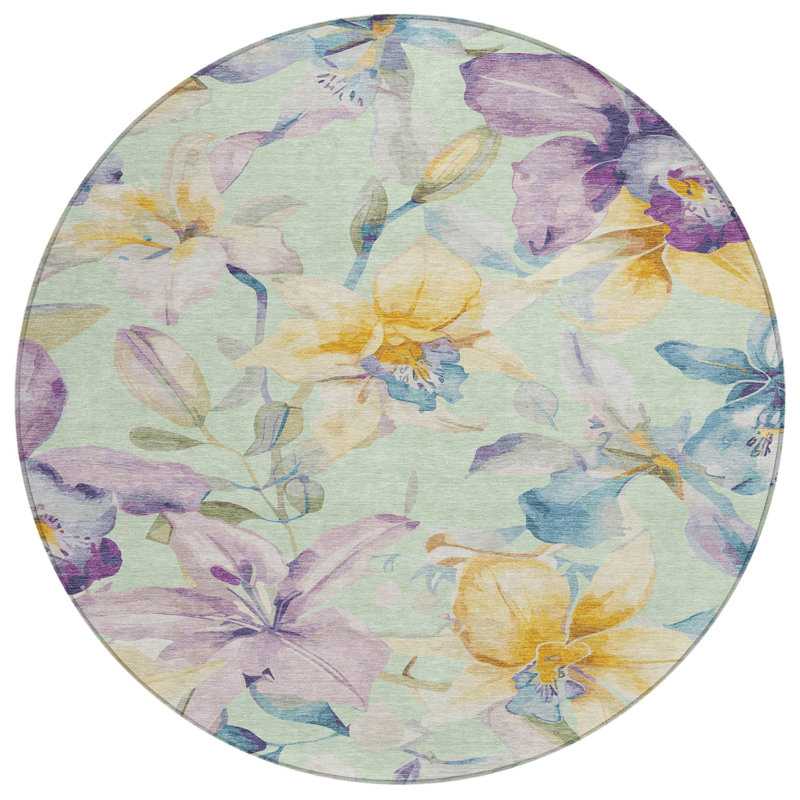 Machine Washable Indoor/Outdoor Jaramillo ACN2262 Floral Rug, Round 8'