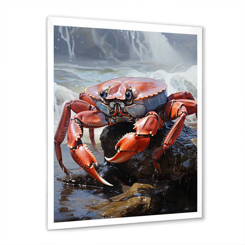 «Wystand Crab Coastal Sentry», reproduction sur toile, H 20 po x l 12 po, Cadre photo blanc