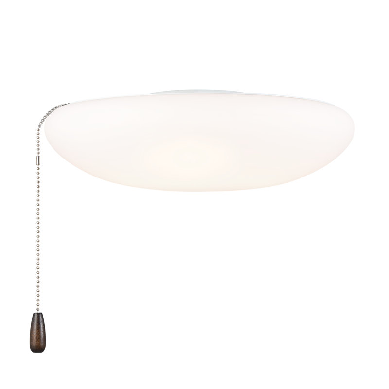 Ventilateur de plafond à DEL 1 lumière
