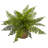 Ruffle Fern Bush with Burlap Base Artificial Plant
