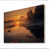 Bois