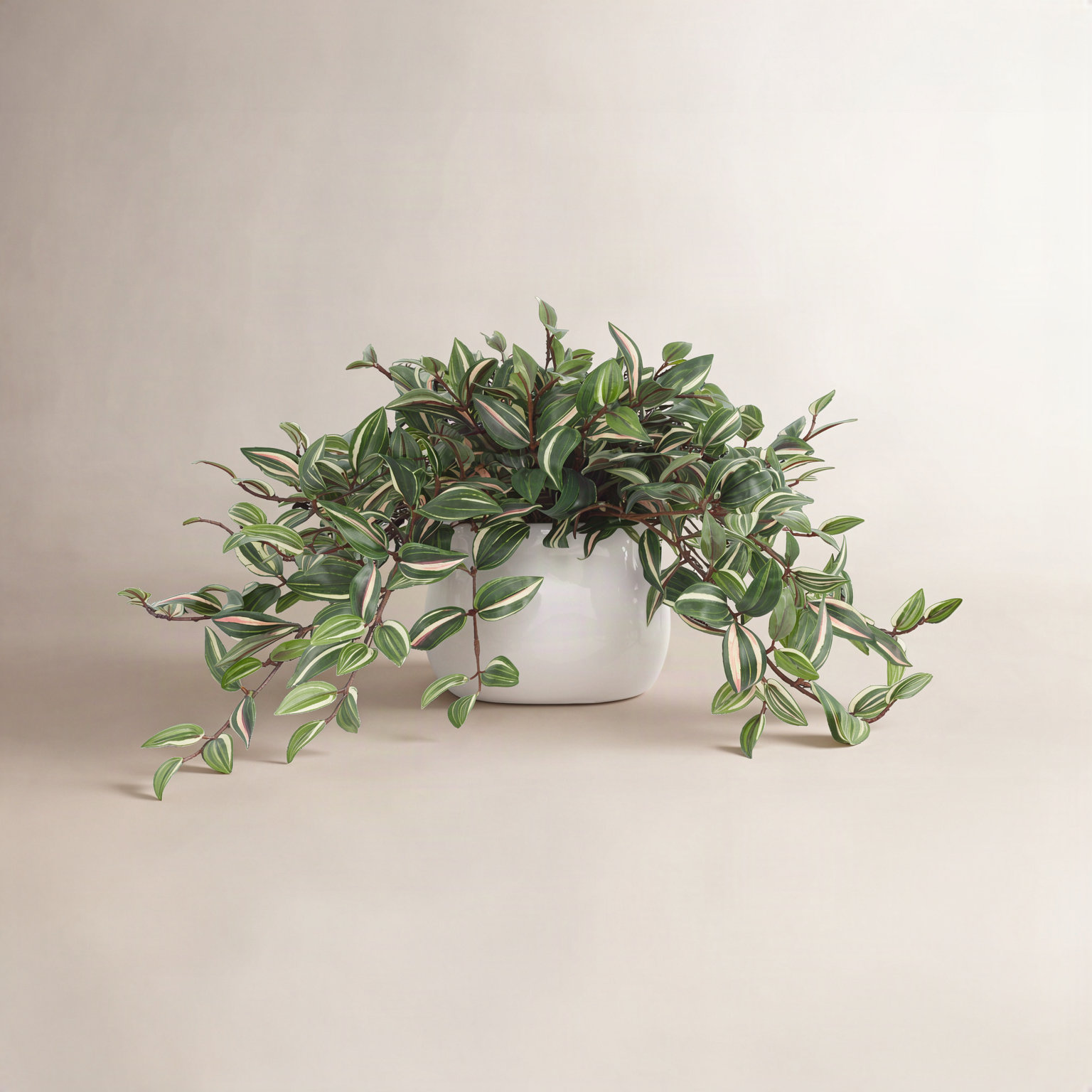 Karas Tradescantia Plant in Vase, Green, 14"H x 26"W x 17"D