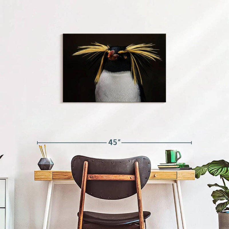 Pingouin, H 20 po x l 30 po