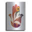 Red Barrel Studio® «Fall Hamsa» par Linda Woods, art mural en métal-1826975004