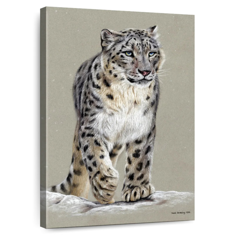 Brampt Snow Leopard II, 51" H x 34" W