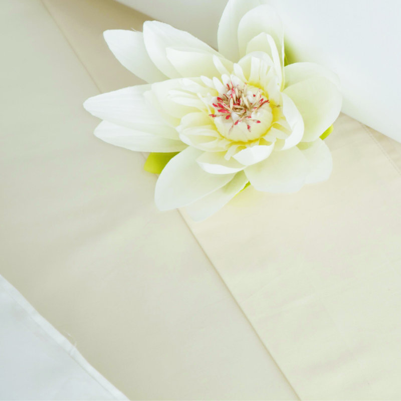 600 TC 100% Cotton Range Sateen Fitted Sheet, Super King (6'), Ivory