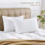 Oreiller en polyester - Sleep by Wayfair ™-1390211849-1343429377