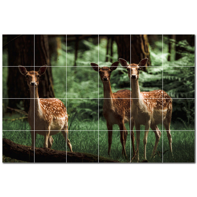 Carrelage mural décoratif photo 48 "x 32" cerf en céramique PT500471: 8 "x 8" (ensemble de 24)