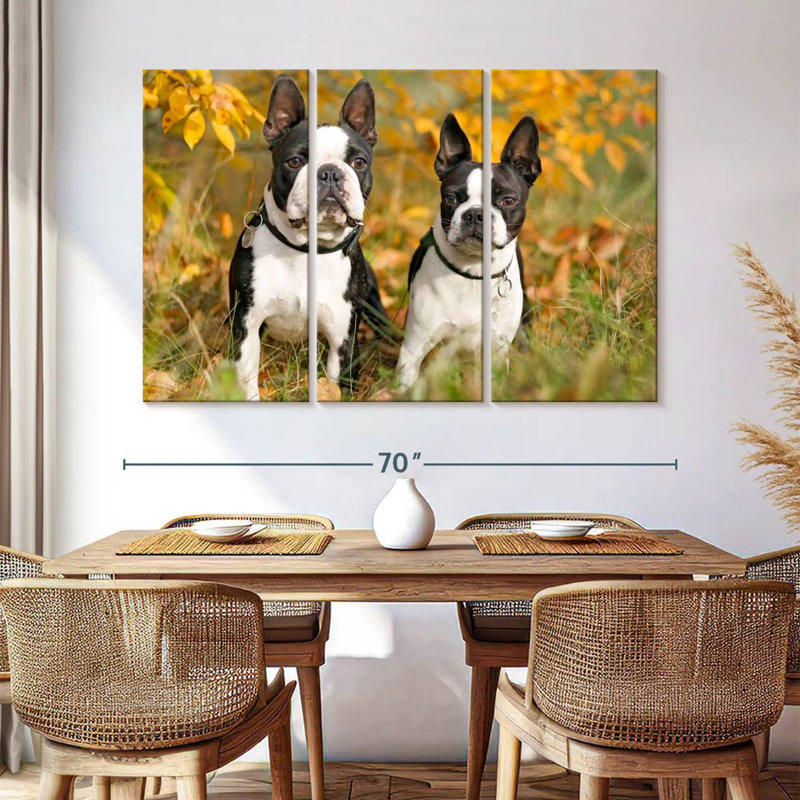 Boston Terrier Couple, H 42 po x l 65 po