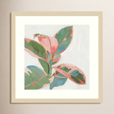 Pink Ficus I Print by Asia Jensen