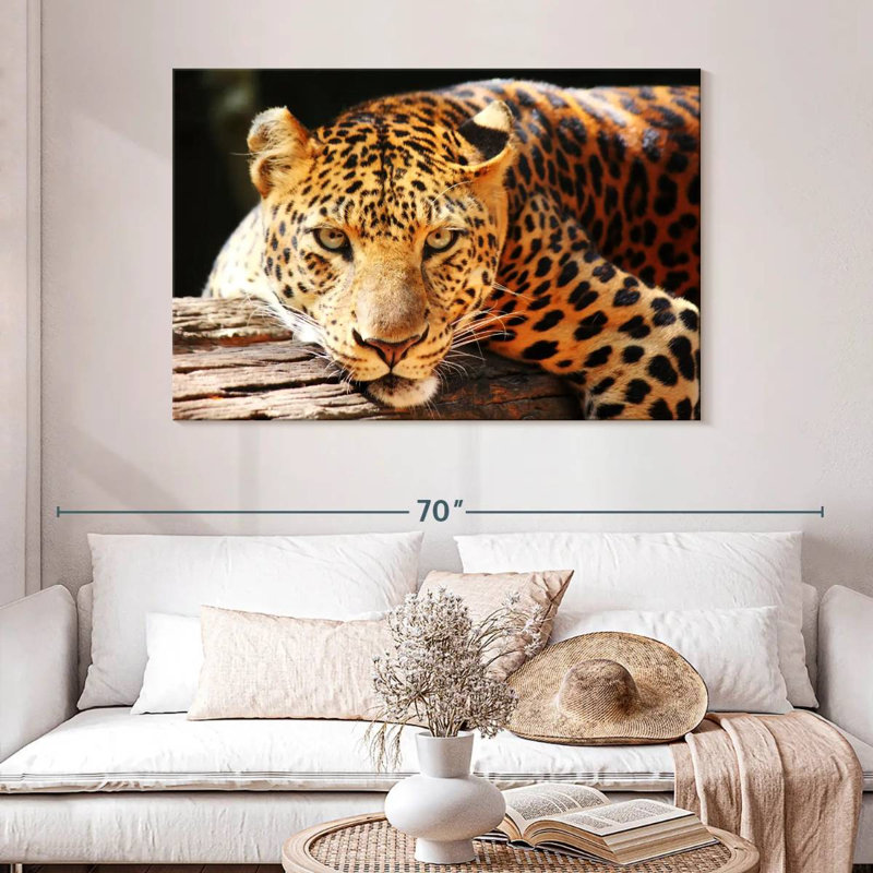 Brampt Leopard Gaze, 32" H x 48" W