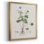 Toile encadrée de qualité supérieure Buttercup Study - prête à être accrochée-409564510-409564511