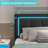 Blome Standard Bed-2053978368-2013880831