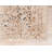Parrado Ikat Indoor Rug-40276041
