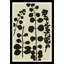 Branches Print by Susan Hable