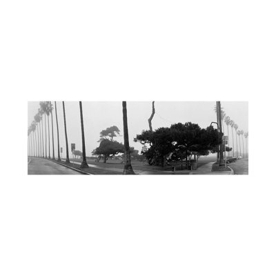 Palm Trees And Fog, San Diego, California - Wrapped Canvas Panoramic Print