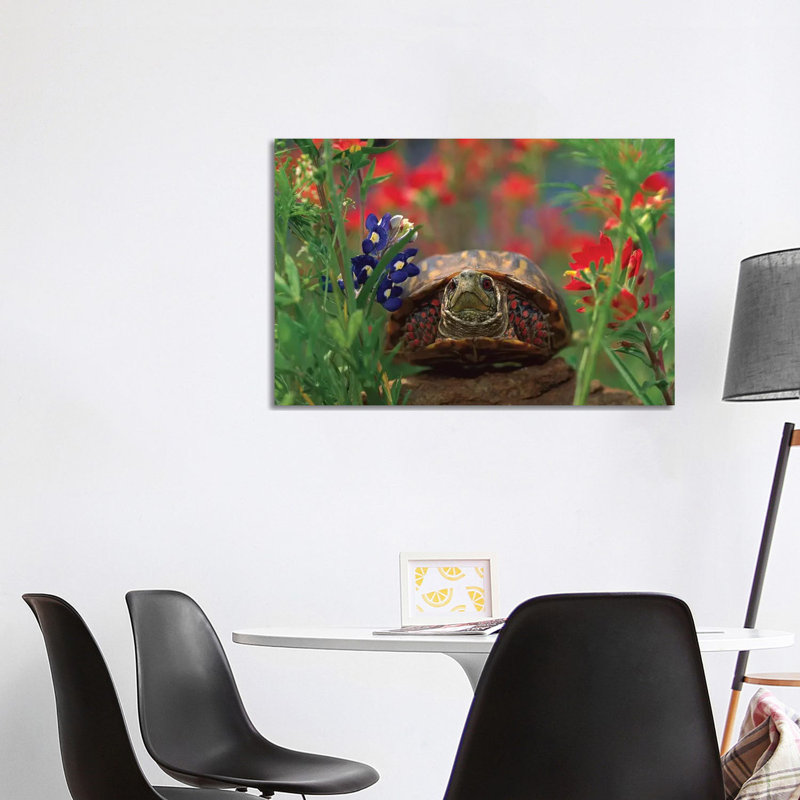 Western Box Turtle Among Lupine, North America And Paintbrush by Tim Fitzharris - Wrapped Canvas Print