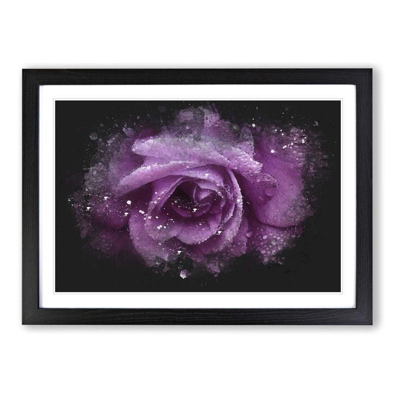 Purple Rose Flower Vol.1 - Single Picture Frame Print on Wood, Black Framed, 27cm H x 36cm W x 2cm D