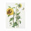 Toile d'extérieur Asasha Janneke Brinkman-Salentijn-87945272